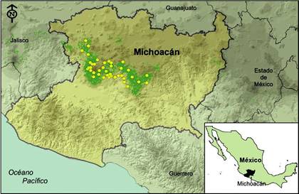 Geo localizaci&oacute;n de la zona de estudio. Pol&iacute;gonos en verde corresponden al padr&oacute;n parcelario, c&iacute;rculos en amarillo a los huertos seleccionados.