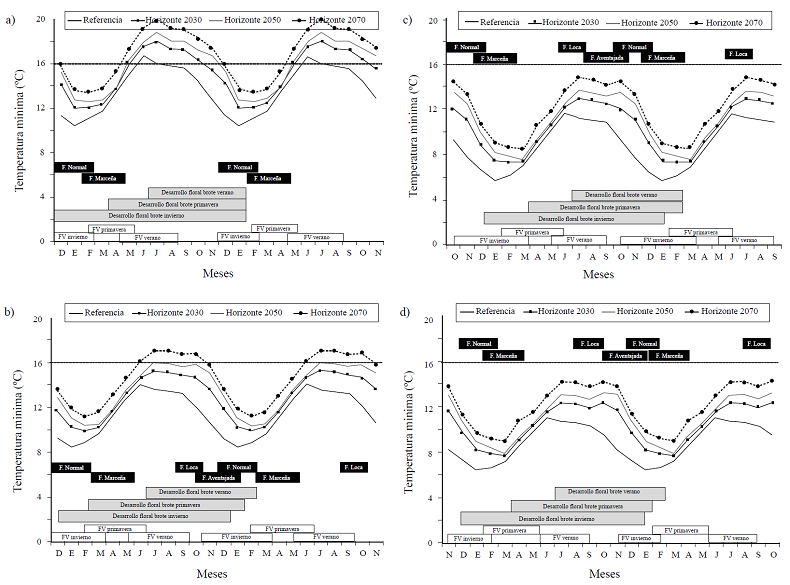 Tm&iacute;n mensual para el RCP 8.5 en tres horizontes y fenolog&iacute;a del aguacate &lsquo;Hass&rsquo; en los climas: A) c&aacute;lido subh&uacute;medo Aw1; B) semic&aacute;lido subh&uacute;medo (A)Ca(w1)+(A)Ca(w2); C) templado subh&uacute;medo Cb(w2); y D) templado subh&uacute;medo monz&oacute;nico Cbm(w). &ldquo;F&rdquo; se refiere a floraci&oacute;n y &ldquo;FV&rdquo; a flujo vegetativo.