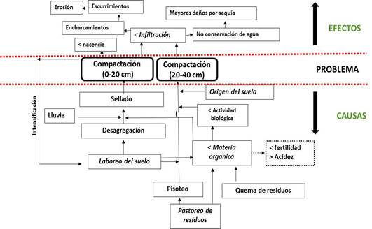 Diagrama de causa-efecto del problema de compactaci&oacute;n del suelo.