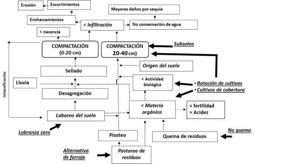 Alternativas de soluci&oacute;n al problema de compactaci&oacute;n de suelos.