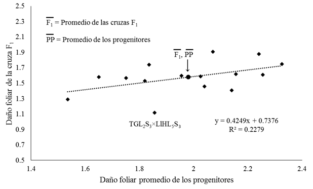 Relaci&oacute;n del da&ntilde;o foliar de S. frugiperda de las cruzas F1 de ma&iacute;z y el progenitor medio en condiciones sin aplicaci&oacute;n insecticida.