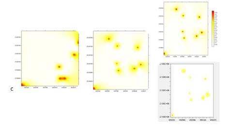 Mapa de densidad de C. gigantea del ma&iacute;z en el municipio de Ocoyoacac obtenidos ciclo 2014-2015. Izquierda, mapas obtenidos mediante simulaci&oacute;n para 2015 bajo simulaci&oacute;n condicionada superior derecha y no condicionada parte inferior derecha.