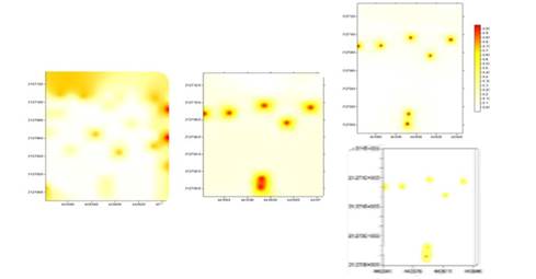 Mapa de densidad de C. gigantea del ma&iacute;z en el municipio de Metepec obtenidos ciclo 2013-2014. Izquierda, mapas obtenidos mediante simulaci&oacute;n para 2014 bajo simulaci&oacute;n condicionada superior derecha y no condicionada parte inferior derecha.