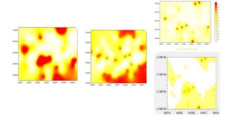 Mapa de densidad de C. gigantea del ma&iacute;z en el municipio de Almoloya de Ju&aacute;rez obtenidos ciclo 2014-2015. Izquierda, mapas obtenidos mediante simulaci&oacute;n para 2015 bajo simulaci&oacute;n condicionada superior derecha y no condicionada parte inferior derecha.