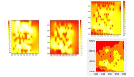 Mapa de densidad de C. gigantea del ma&iacute;z en el municipio de Calimaya obtenidos ciclo 2013-2014. Izquierda, mapas obtenidos mediante simulaci&oacute;n para 2015 bajo simulaci&oacute;n condicionada superior derecha y no condicionada parte inferior derecha.