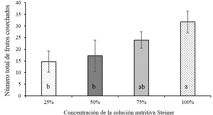 N&uacute;mero total de frutos cosechados cuatomate (Solanum glaucescens Zucc.) cultivado bajo malla sombra en Atlixco, Puebla, 2016 (Tukey p &le; 0.05; 10.9).