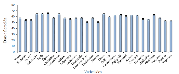 Días a floración de 28 variedades de avena sembradas bajo temporal en los Valles Altos de México durante los ciclos primavera-verano 2013 y 2014.