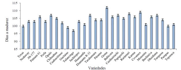 Días a madurez de 28 variedades de avena sembradas bajo temporal en los valles altos de México durante los ciclos primavera-verano 2013 y 2014.
