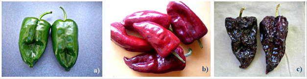 H&iacute;brido de chile poblano HAP14F. a) frutos en verde; b) frutos maduros; c) frutos secos o deshidratados.