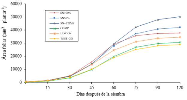 Din&aacute;mica de &aacute;rea foliar de la espinaca en diferentes tratamientos de fertilizaci&oacute;n, cultivado en suelo. Los tratamientos aplicados= SN100% (soluci&oacute;n Steiner al 100%), SN50% (soluci&oacute;n Steiner al 50%); SN100% + COMP (soluci&oacute;n Steiner + compost de cachaza); COMP (compost de cachaza); LIXCON (lixiviado de conejo) y testigo.