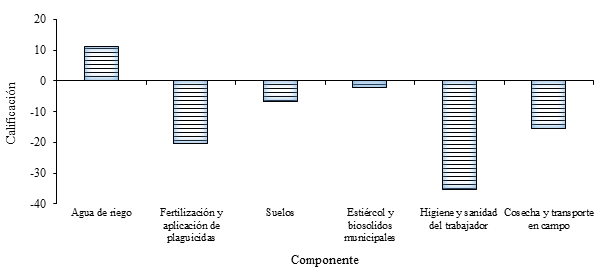 Puntajes registrados por los componentes del proceso de producci&oacute;n de cilantro bajo el formato del manual de calidad (SAGARPA-SENASICA, 2002).