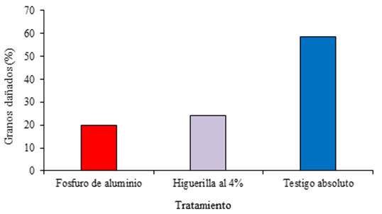 Porcentaje de grano da&ntilde;ado por efecto de higuerilla 4% en el manejo de Sitophilus zeamais Motschulsky.