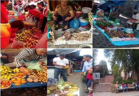 Diferentes formas de encontrar los puestos en el tianguis.