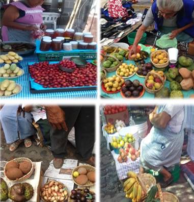 Estrategia de comercializaci&oacute;n.