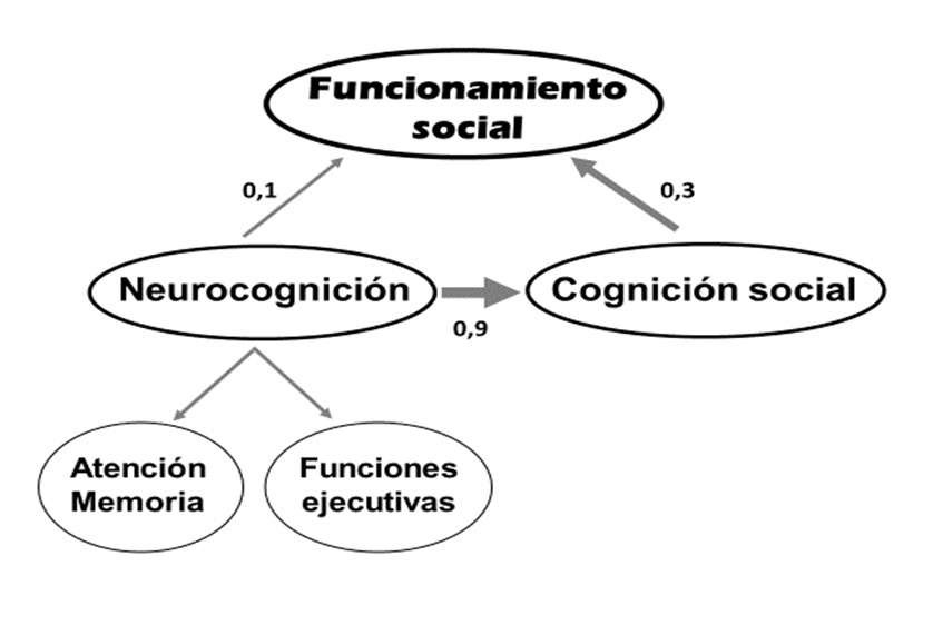 Modelo de Vauth et al. Relaciones entre cognici&oacute;n y funcionamiento social en la esquizofrenia