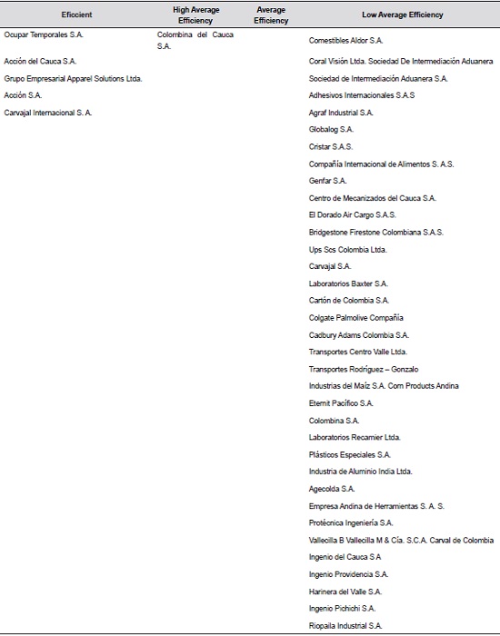 Clasisification of companies according to their degree of efficiency