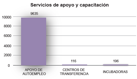 Servicios de apoyo y capacitaci&oacute;n.