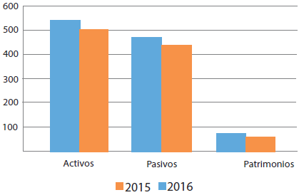 Elementos del estado de situaci&oacute;n financiera 2016 y 2015
