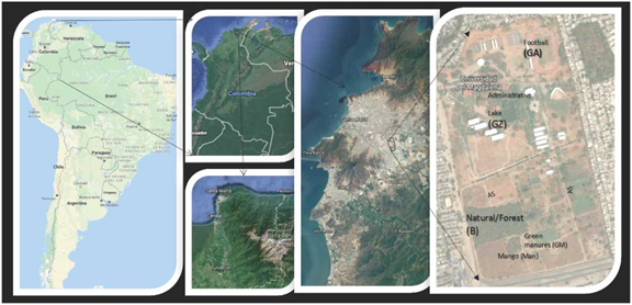 Localización y usos del suelo en el Campus Universidad del Magdalena.