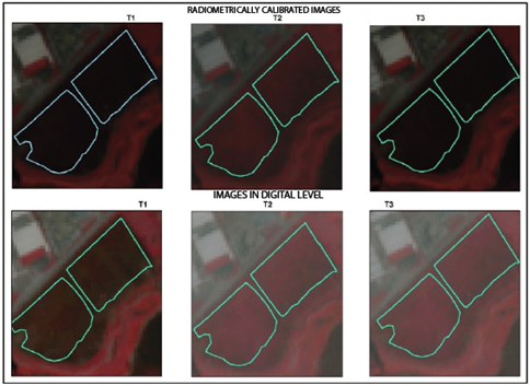 Radiometrically calibrated satellite images and digital level images.