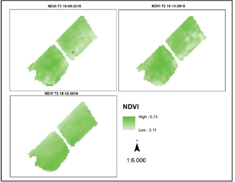 NDVI calculation, for the three images.