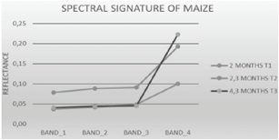 Spectral signature of maize crops across different growth stages.
