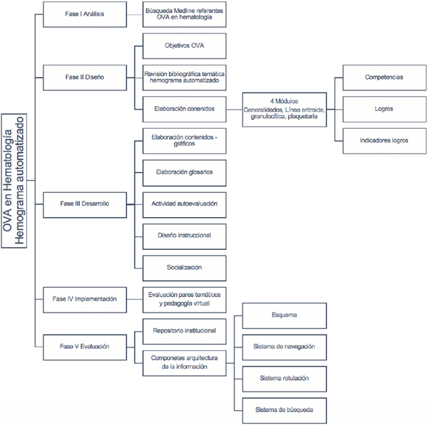 Resumen de las fases de realización de OVA de hemograma.