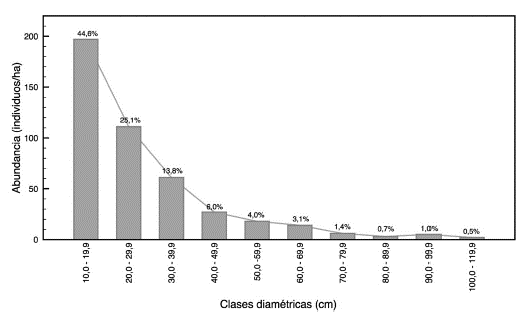 Distribución diamétrica del bosque pluvial tropical de la subcuenca del río Munguidó, municipio de Quibdó, Chocó, Colombia. 