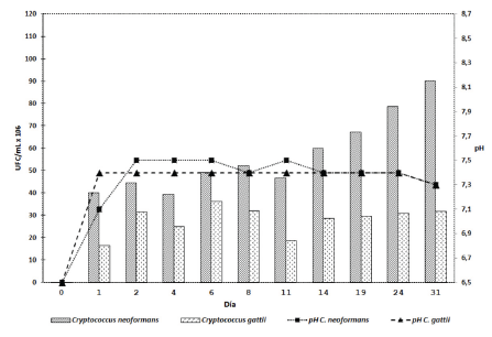 Crecimiento de C. neoformans y C. gattii y cambios de pH en el extracto de heces de palomas negativos sin solución amortiguadora. 