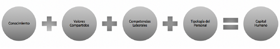 Elementos que componen el capital humano de la empresa 