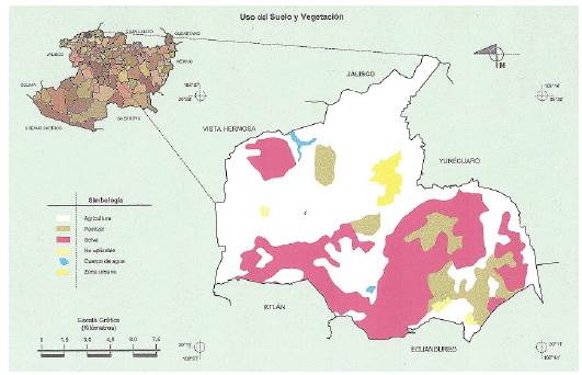 Ubicaci&oacute;n, uso de suelo y vegetaci&oacute;n de Tanhuato