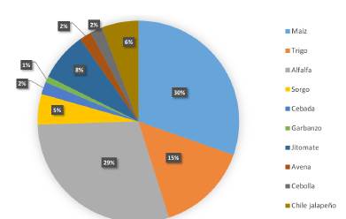 Porcentaje de productores que siembran diferentes cultivos