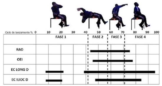 Fases del lanzamiento de bala paral&iacute;mpico en silla. RAD: m&uacute;sculo recto abdominal derecho, OEI: m&uacute;sculo oblicuo externo izquierdo, ES LONG D: Erector de la espina longu&iacute;simo derecho ES ILIOC D: Erector de la espina iliocostal derecho