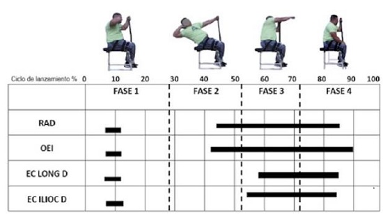Fases del lanzamiento de bala paral&iacute;mpico en silla. RAD: m&uacute;sculo recto abdominal derecho, OEI: m&uacute;sculo oblicuo externo izquierdo, ES LONG D: Erector de la espina longu&iacute;simo derecho ES ILIOC D: Erector de la espina iliocostal derecho. 