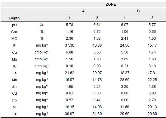 Results of the soil analysis by cocoa-producing zone in northern Colombia.