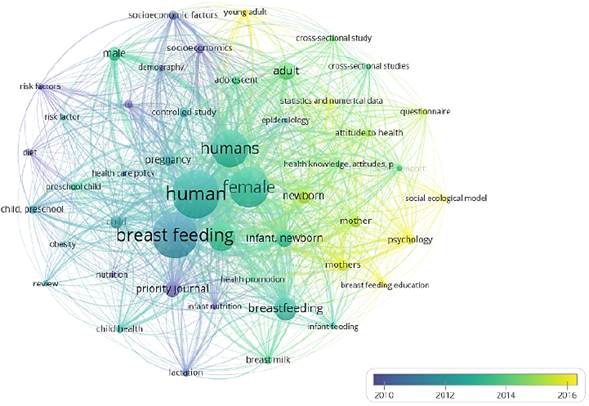 Matrix of conceptual relationships in the search equation