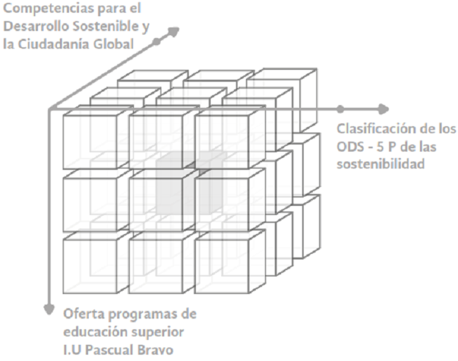 Modelo de coordenadas curriculares Institución Universitaria Pascual Bravo.