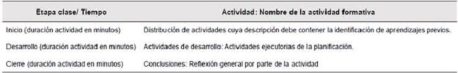 Matriz de ejecución de las acciones pedagógicas (planeador de clase).