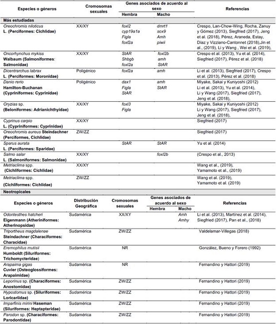 Sistemas de determinaci&oacute;n y genes asociados ala diferenciaci&oacute;n sexual en pieces