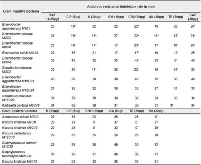 Antibiotics degree of inhibition