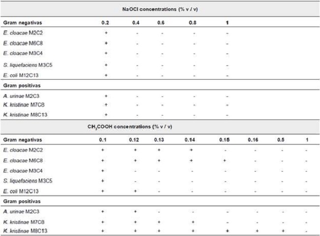 Minimum Inhibitory Concentration (MIC)