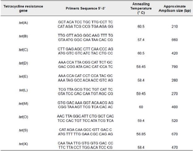 Tetracycline resistance primers