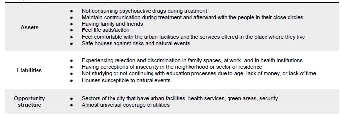 Summary of assets, liabilities and structure of opportunities, psychosocial and habitat dimensions.