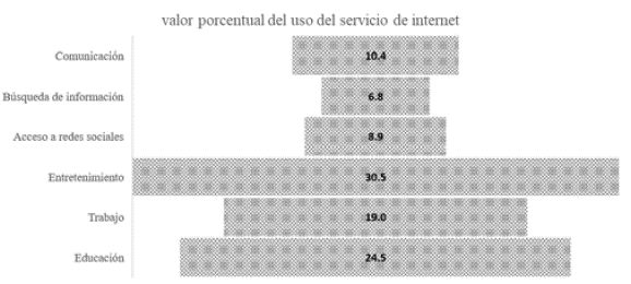 Uso del servicio de internet. 