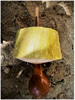 Imagen general de un poporo. Bonda, Santa Marta, Colombia, 2022.