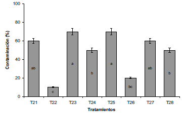 Porcentaje de contaminaci&oacute;n de explantes de arracacha sometidos a diferentes tratamientos de desinfecci&oacute;n. T2I: CHL, 30 min; T22: CHL + NaClO 2% 30 min; T23: GEN, 30 min; T24: GEN + NaClO 2%, 30 min; T25: CHL, 20 min; T26: CHL + NaClO 2%, 20 min; T27: GEN, 20 min; T28: GEN + NaClO 2%, 20 min. NaClO: Hipoclorito de Sodio; OH: Alcohol; CHL: Cloranfenicol; GEN: Gentamicina. Letras distintas indican diferencias significativas de acuerdo a la prueba de DMS (P&le;0,05).