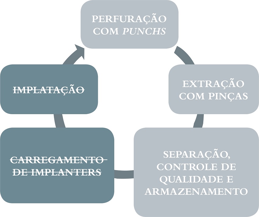 Linha de produção aplicada à cirurgia FUE tradicional mostrando o
							bloqueio do processo (cinza escuro); a implantação não ocorre ao mesmo
							tempo da extração, pois o campo cirúrgico obtido pela maca tradicional
							não permite