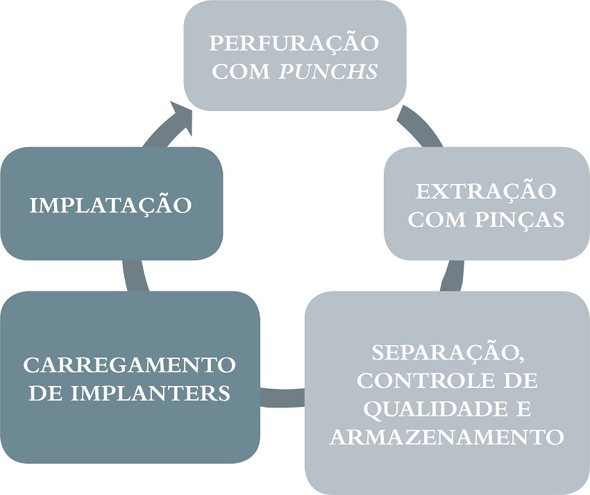Linha de produção do Fast FUE mostrando a continuação do processo sem
							interrupções; a implantação não é retardada, pois ocorre concomitante à
							extração