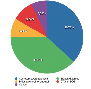 Procedimento realizados