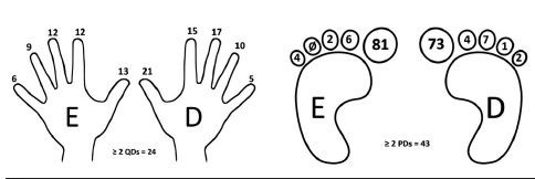 Número de lesões operadas em cada quirodáctilo e pododáctilo